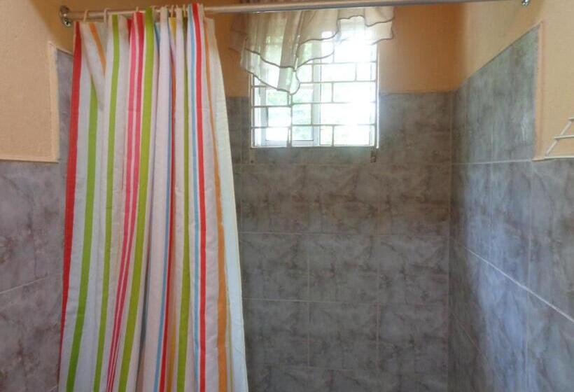 آپارتمان 2 خوابه, Yard Style