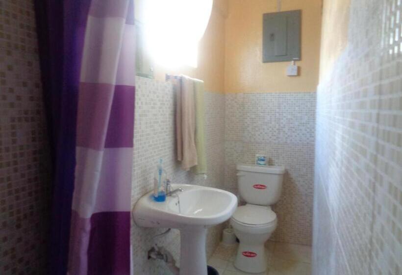 اتاق استاندارد, Yard Style