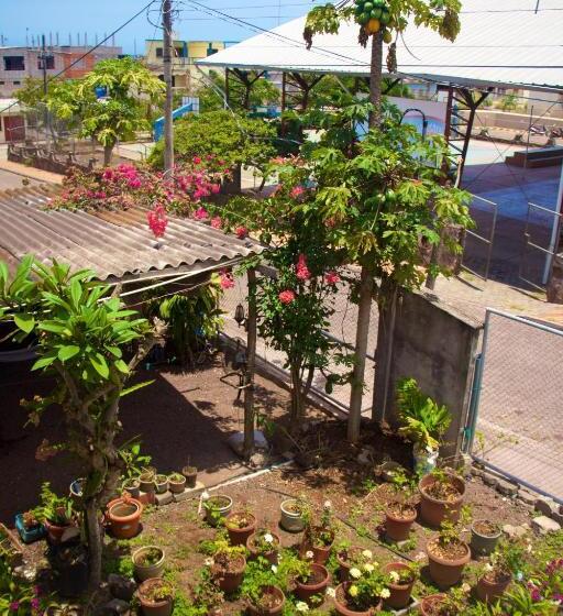 スタンダードルーム, Hostal Nathaly