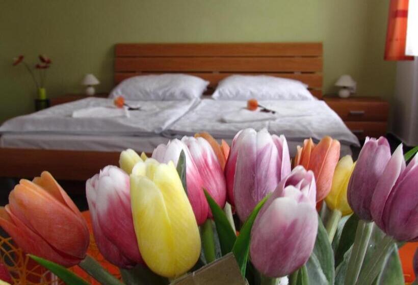 スタンダードルーム, Penzion Oregano Třeboň