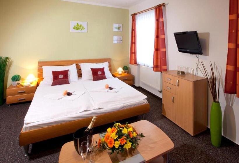 スタンダードルーム, Penzion Oregano Třeboň