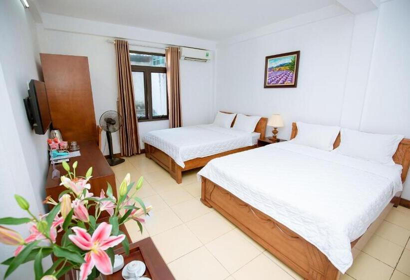 اتاق استاندارد چهار تخته, Viet Huong