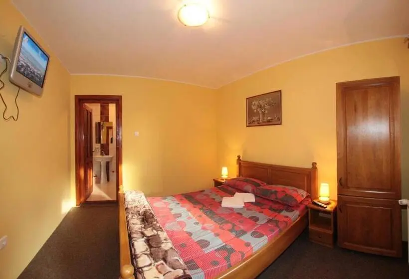 Standard-huone, Pensiunea Elisabeta
