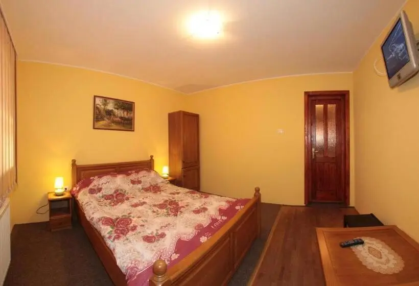 Standard-huone, Pensiunea Elisabeta