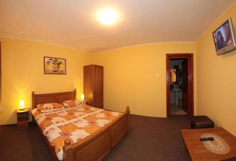 Standard-huone, Pensiunea Elisabeta