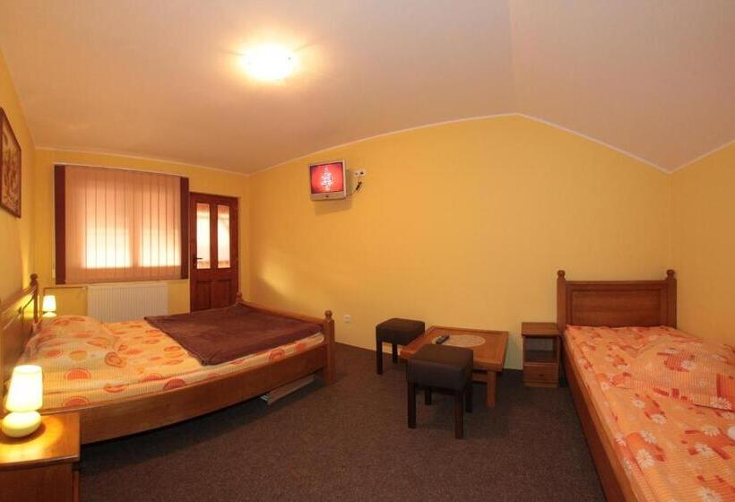 חדר סטנדרט לשלושה, Pensiunea Elisabeta