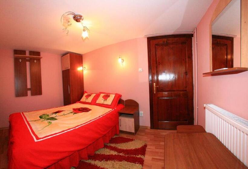 バルコニー付きスタンダードルーム, Pensiunea Valea Ursului