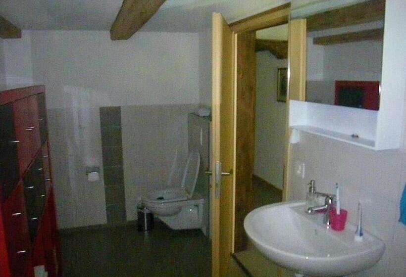 חדר סטנדרט לשלושה עם חדר אמבטיה משוף, Bühl 3