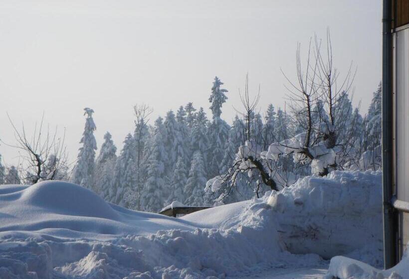 חדר סטנדרטי לארבעה עם חדר אמבטיה משותף, Bühl 3