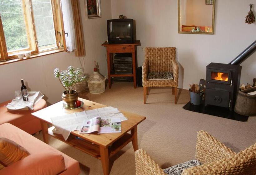 带1个卧室带花园景观的公寓, Apartment At Sedliacky Dvor   Brezno