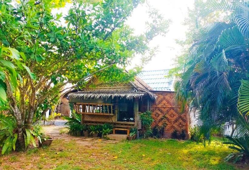 스탠다드 방갈로, Kingsacre