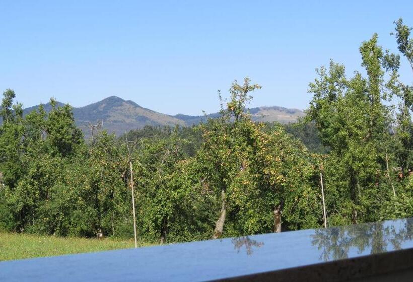 اتاق کلاسیک خانوادگی, Lipizzaner Lodge Guest House