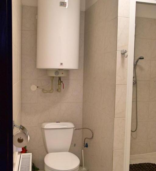 غرفة قياسية, Penzion Na Zborově