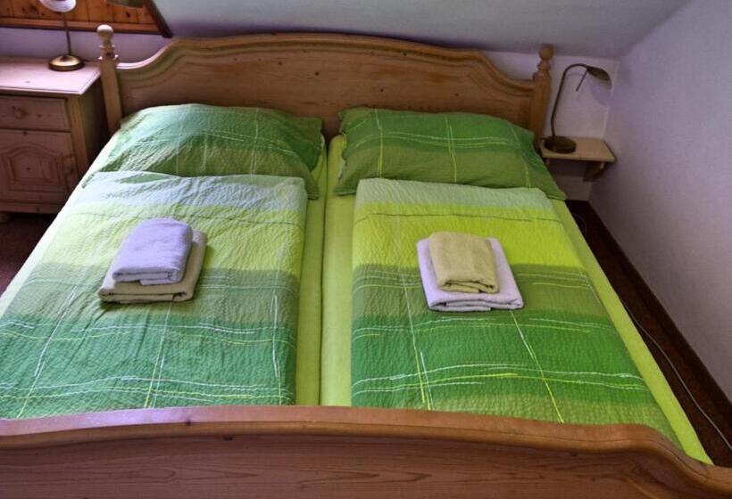 غرفة قياسية, Penzion Na Zborově