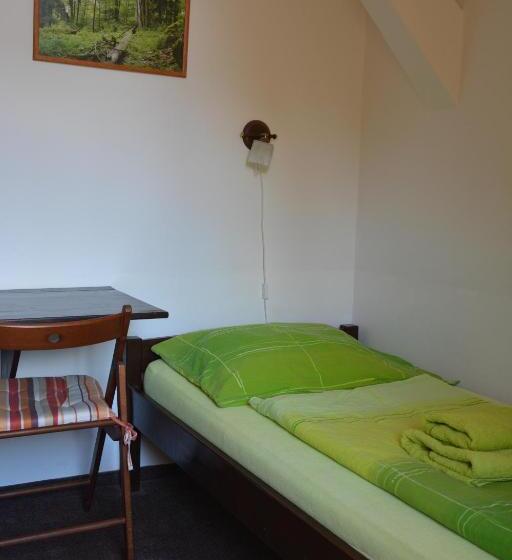 غرفة قياسية فردية, Penzion Na Zborově