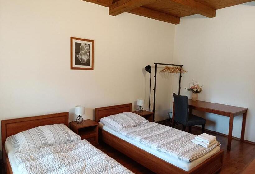 スタンダードルーム, Penzion V Podzámčí Litomyšl