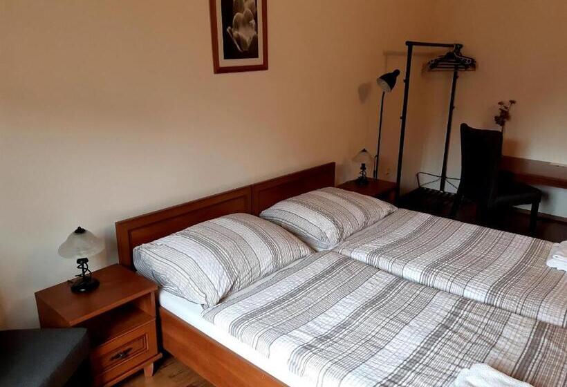 スタンダードルーム, Penzion V Podzámčí Litomyšl