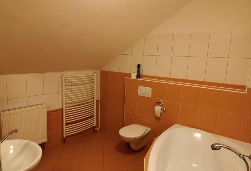 １ベッドルームアパートメント, Penzion V Podzámčí Litomyšl