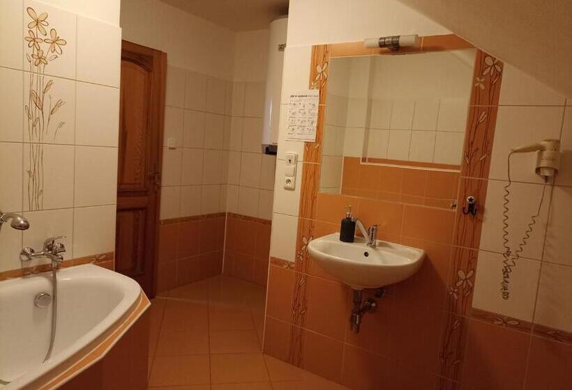 １ベッドルームアパートメント, Penzion V Podzámčí Litomyšl