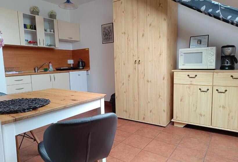 Apartament 1 Sypialnia, Penzion V Podzámčí Litomyšl