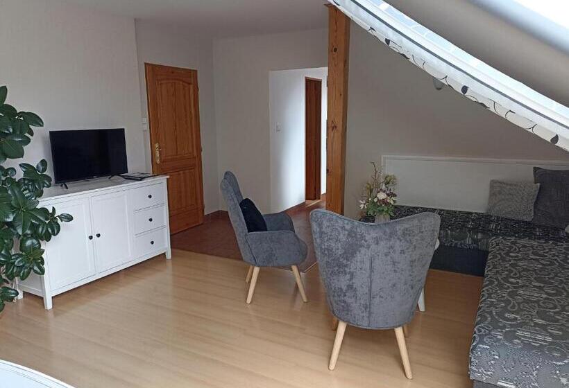 １ベッドルームアパートメント, Penzion V Podzámčí Litomyšl