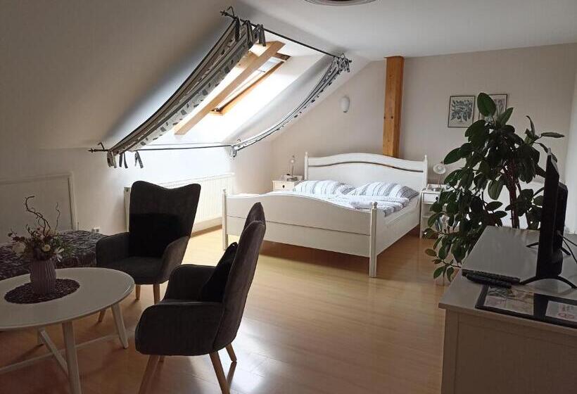 Apartament 1 Sypialnia, Penzion V Podzámčí Litomyšl