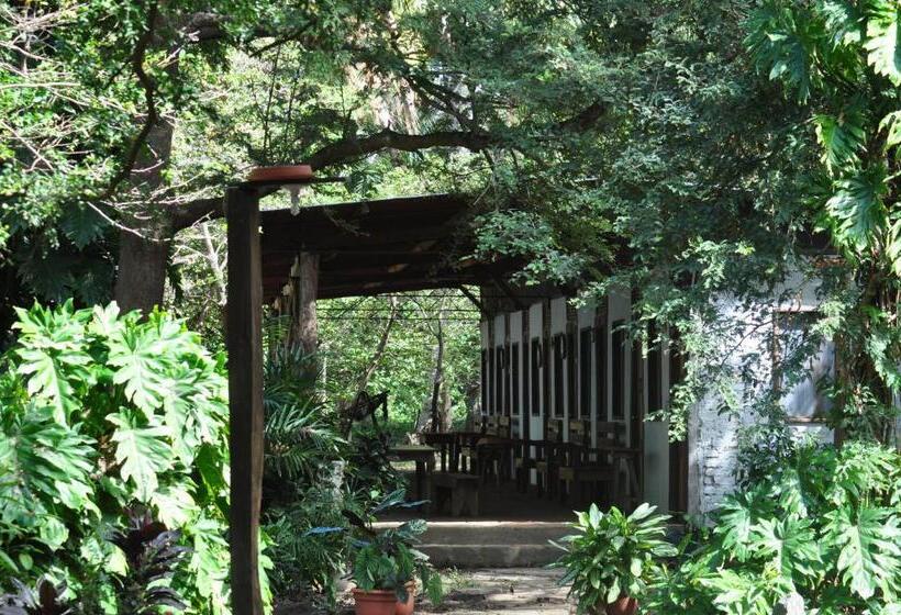 共用房间的床, Ecológico Tierra Blanca