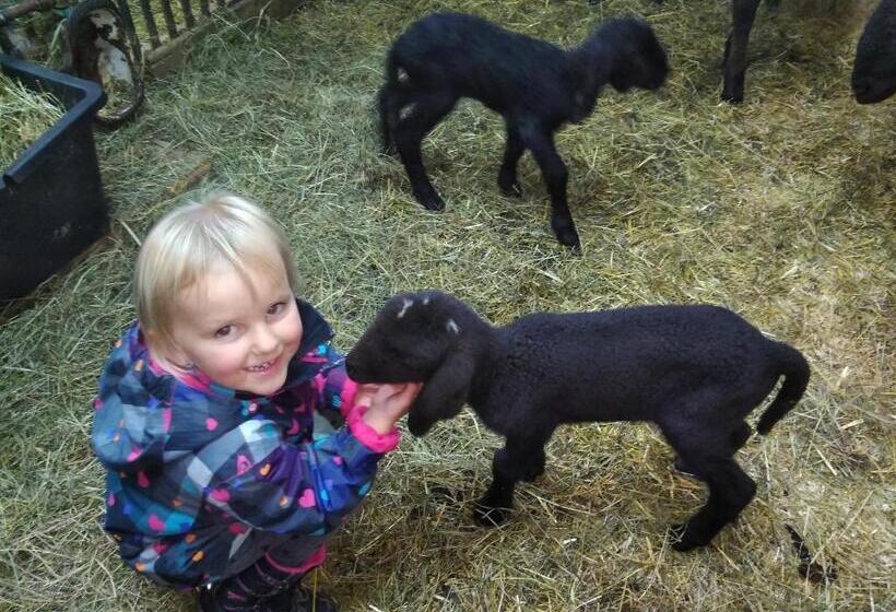 آپارتمان 2 خوابه, Eisbauer