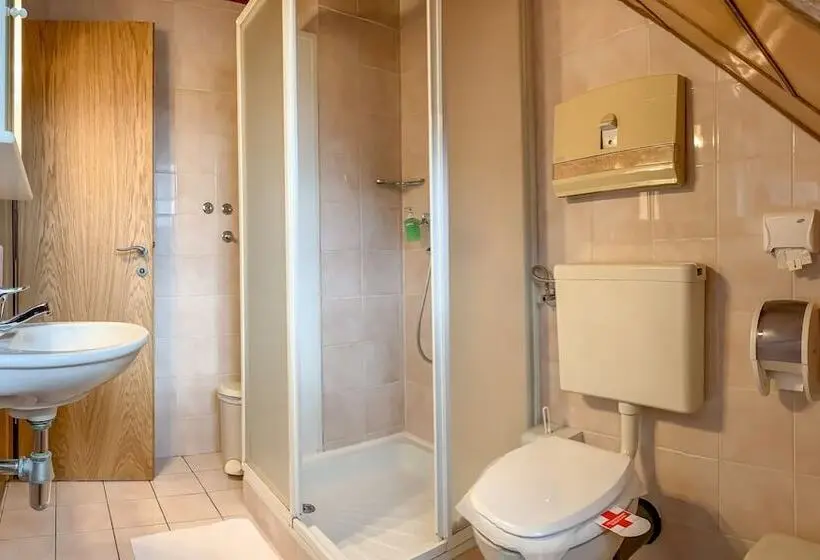 اتاق اکونومی, Guest House Pri Cesarju