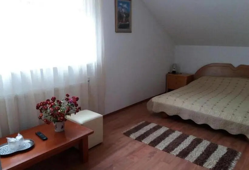 スタンダードルーム, Pensiunea Total Din Ceahlău