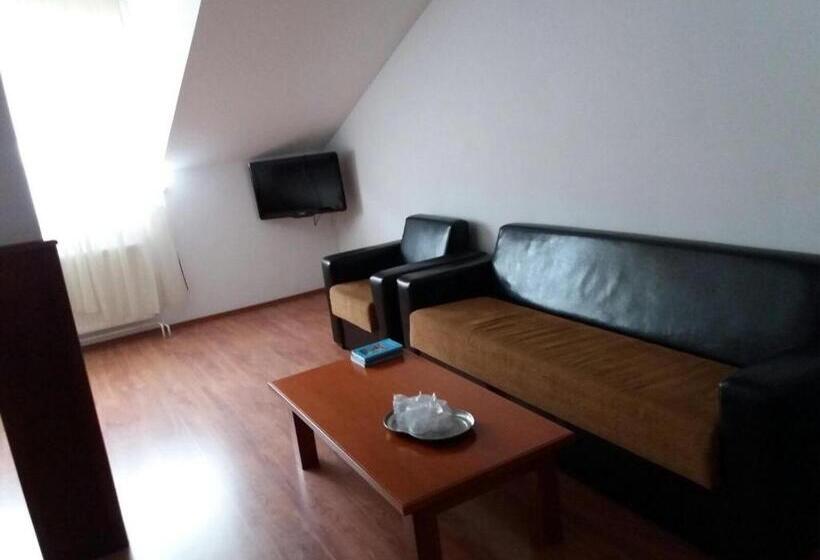 اتاق استاندارد سه نفره, Pensiunea Total Din Ceahlău