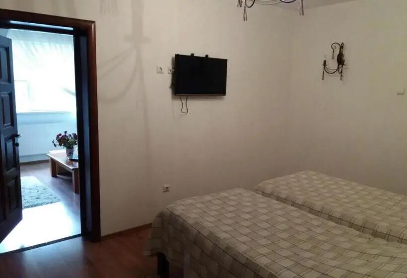 ２ベッドスイートルーム, Pensiunea Total Din Ceahlău