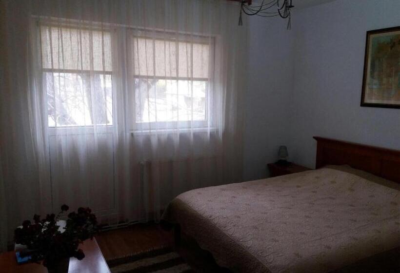 اتاق استاندارد, Pensiunea Total Din Ceahlău