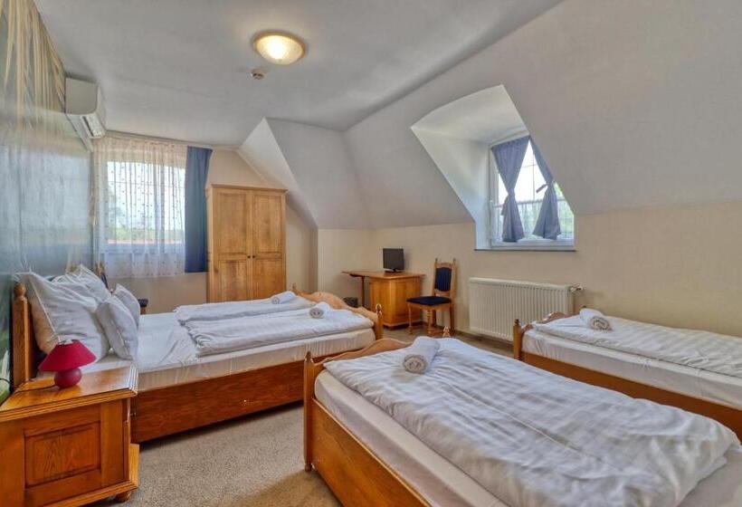 Четырехместный Номер Стандарт, Villa Park Panzió