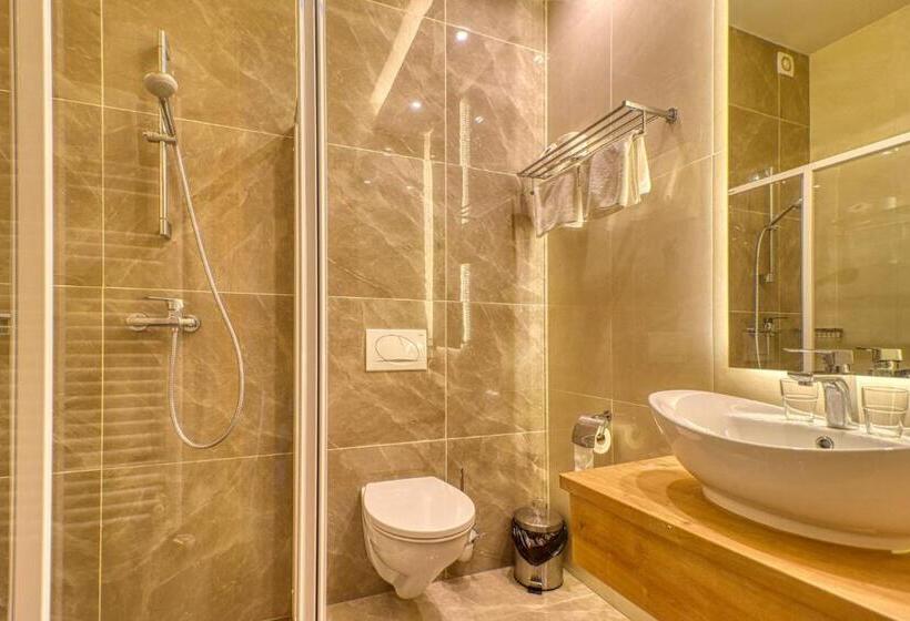 豪华房间, Villa Park Panzió