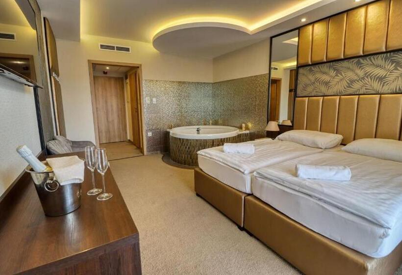 豪华房间, Villa Park Panzió