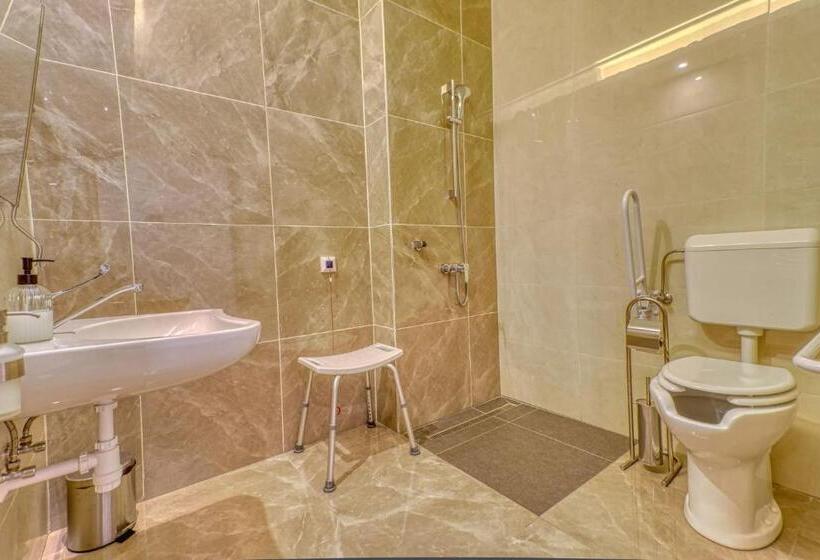 适合残疾人使用的标准间, Villa Park Panzió