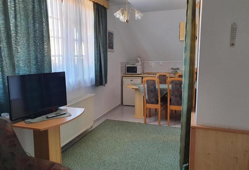 Студия Стандарт, Gála Panzió