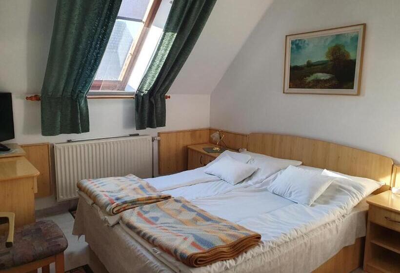 Апартаменты 1 Спальня, Gála Panzió