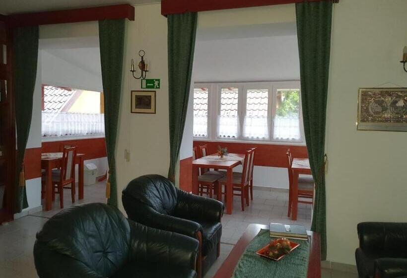 Дом 1 Спальня, Gála Panzió