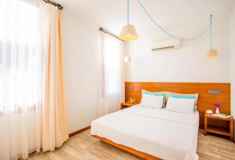 Camera Standard, Mare Nostrum Apart