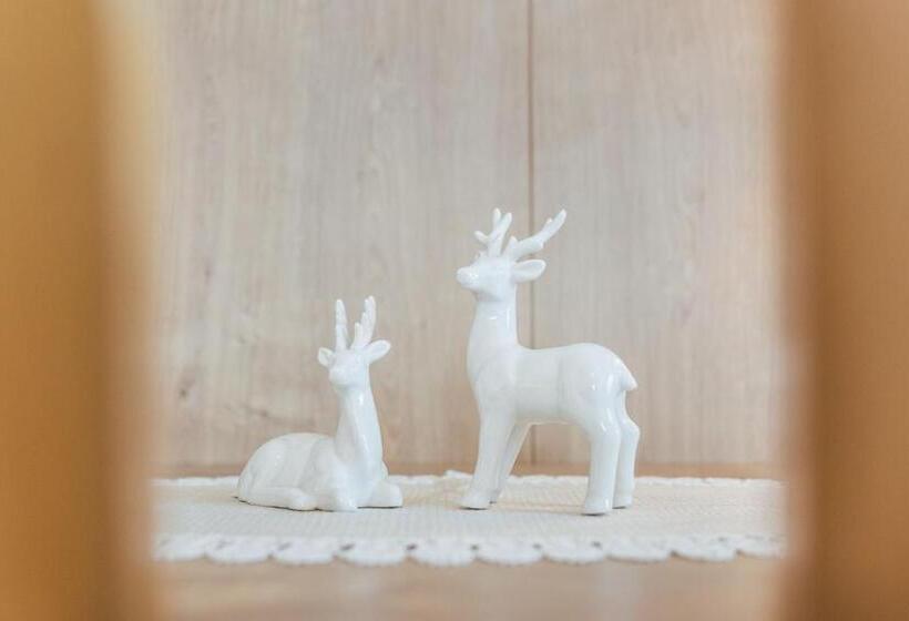 标准间, Apartments Morandell