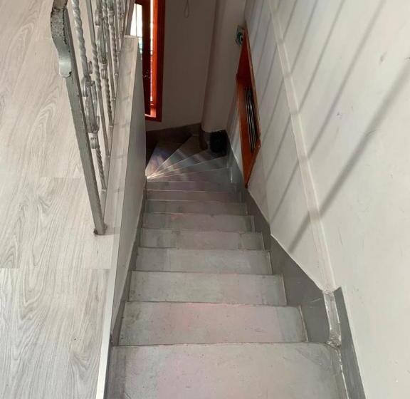 Ortak Banyolu Standart Oda, Nelly Guesthouse