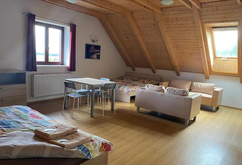 スタンダードルーム, Penzion Ovčárna