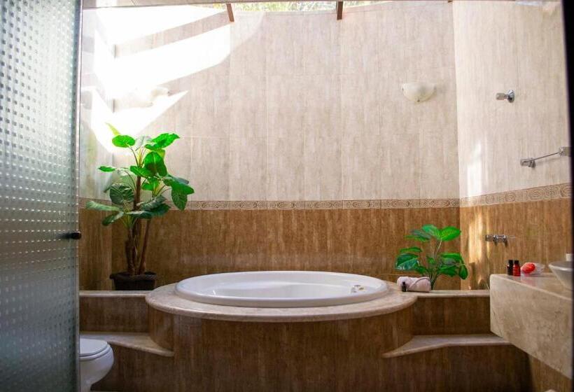 شاليه سوبيريور غرفة نوم واحدة, Pousada Medeiros