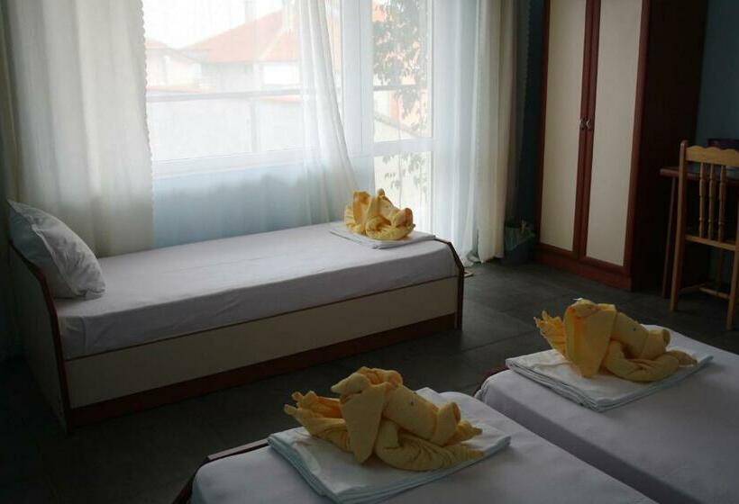 スタンダードトリプルルーム, Zoya Guest House