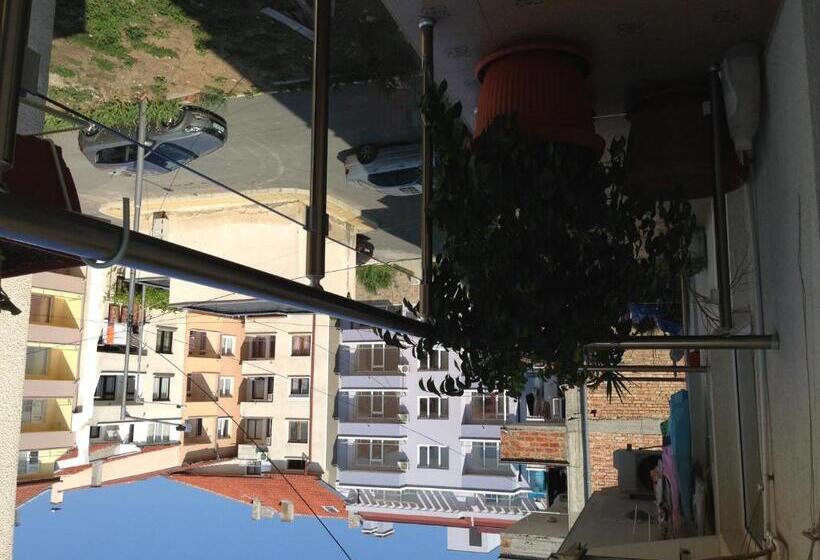 スタンダードスタジオ, Zoya Guest House