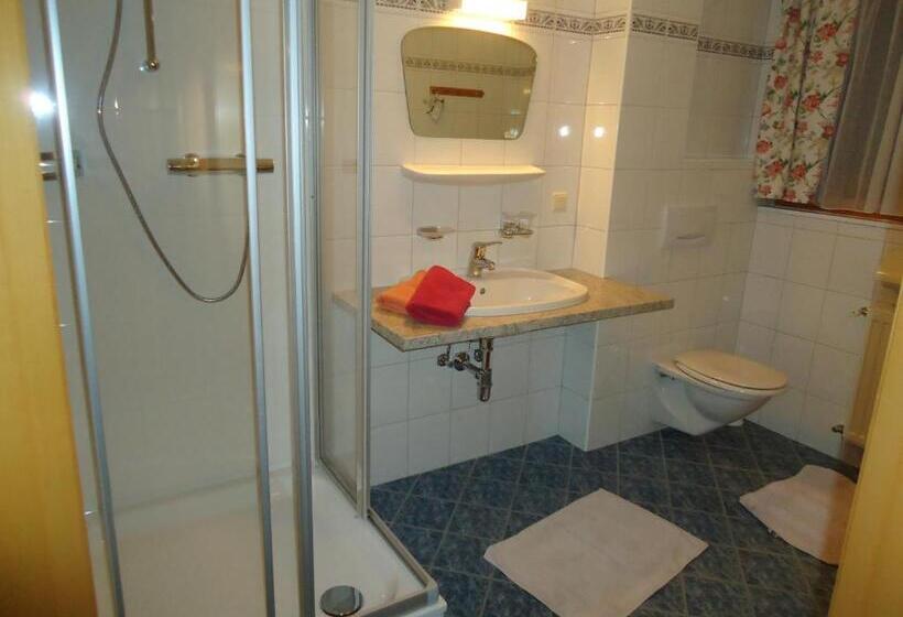Номер Стандарт с Балконом, Pension Greimelbacherhof