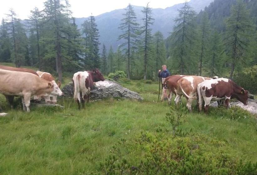 غرفة قياسية مزوَّدة بشُرفة, Pension Greimelbacherhof