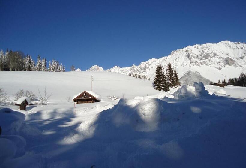 غرفة قياسية مزوَّدة بشُرفة, Pension Greimelbacherhof